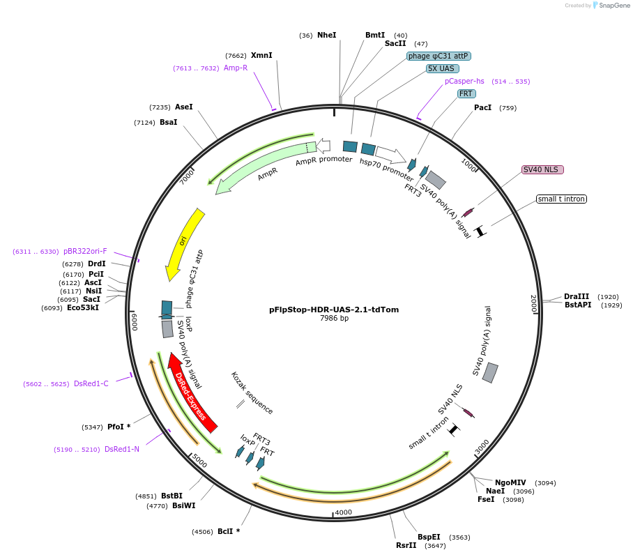 172780_map