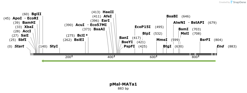 17279_map