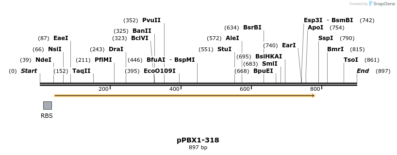 17280_map