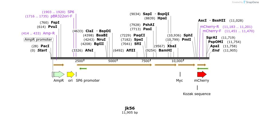 172862_map