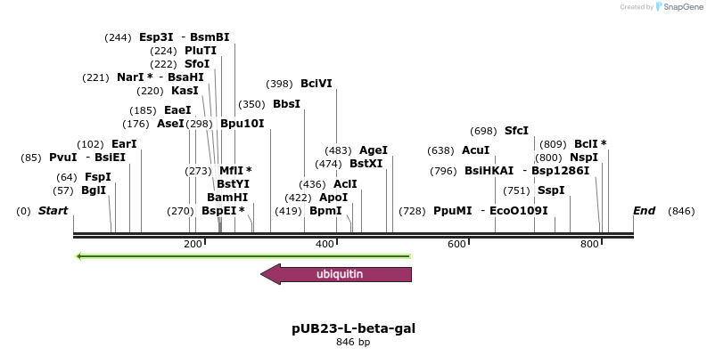 17287_map