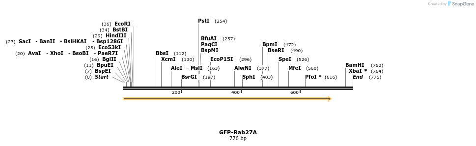 172877_map