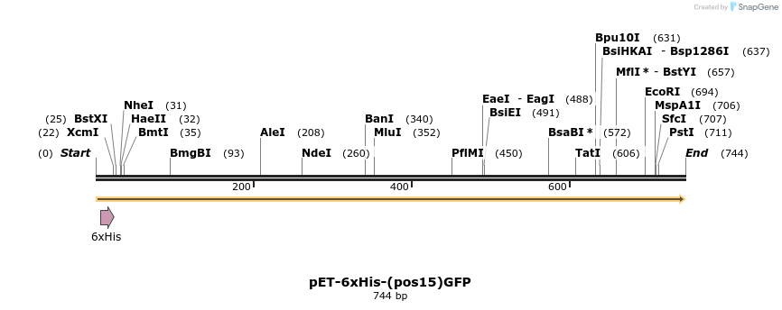 172898_map