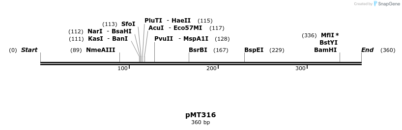 17290_map