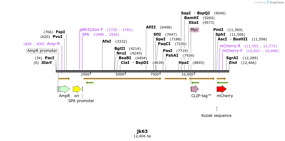 172945_map