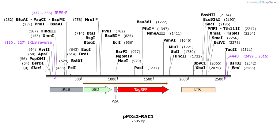 172958_map