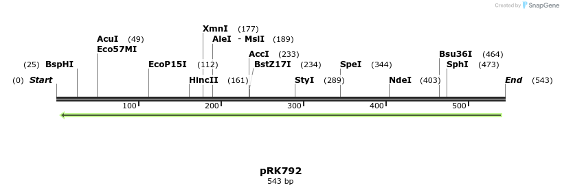 17298_map