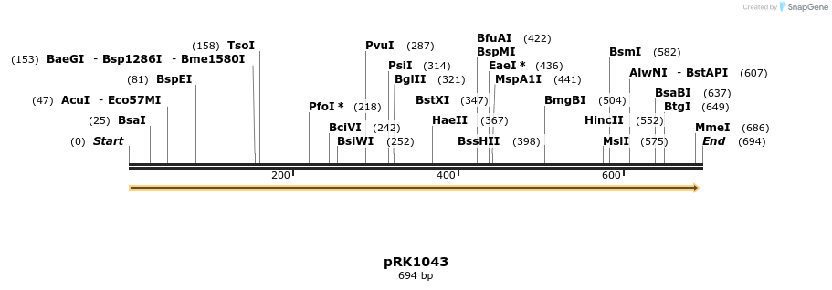 17299_map