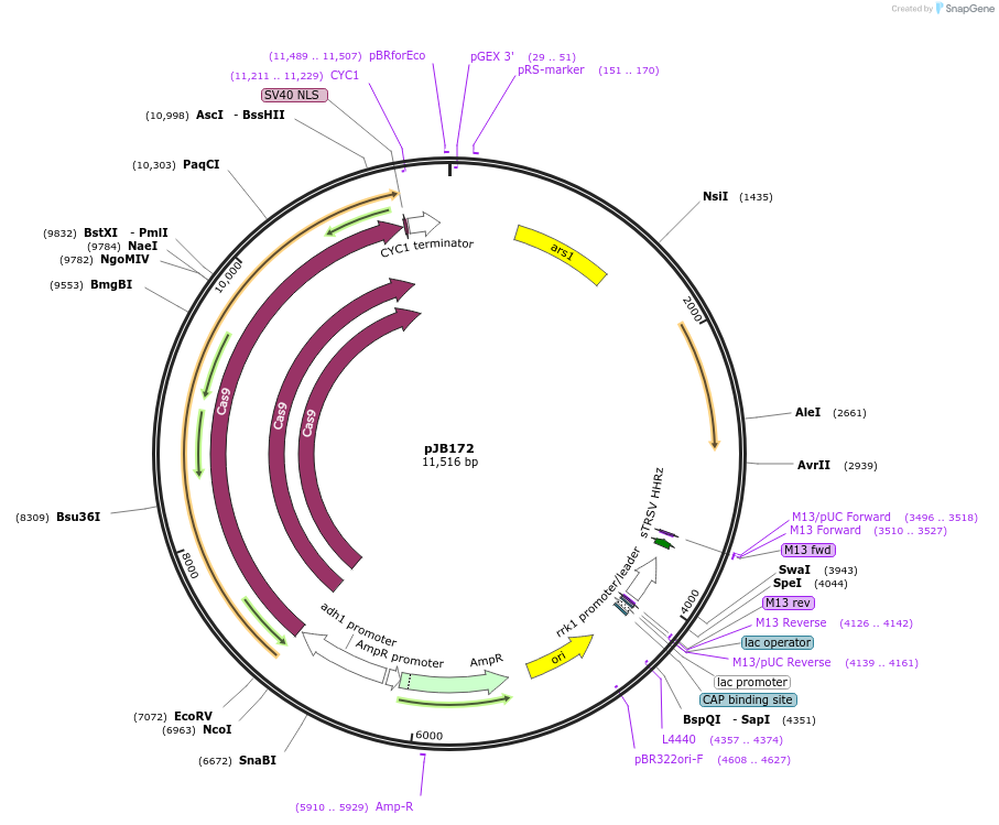 173002_map