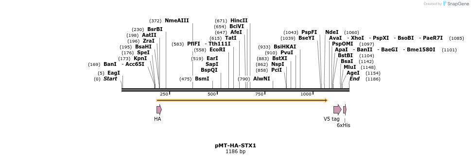 173013_map