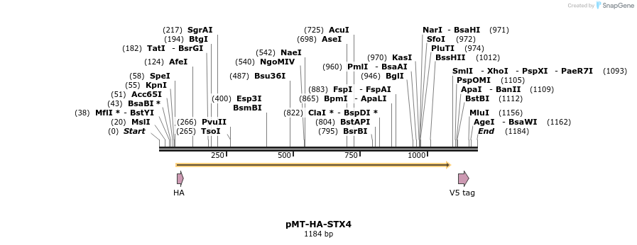173014_map