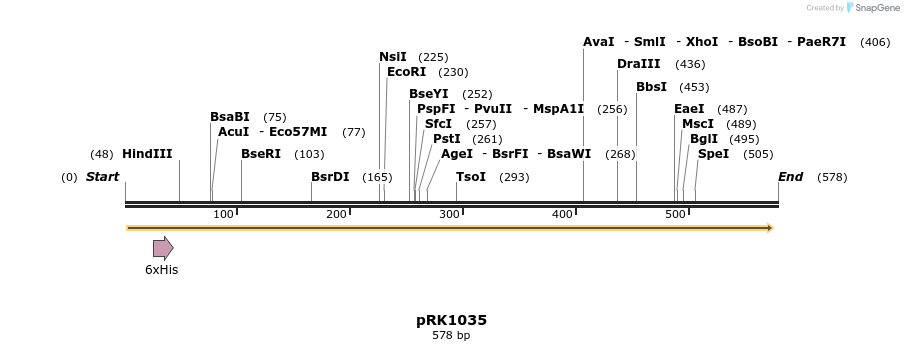 17302_map