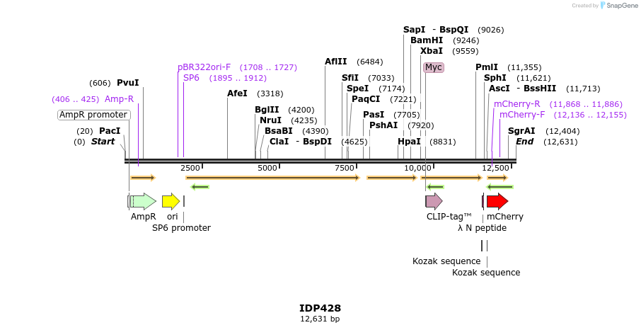 173021_map