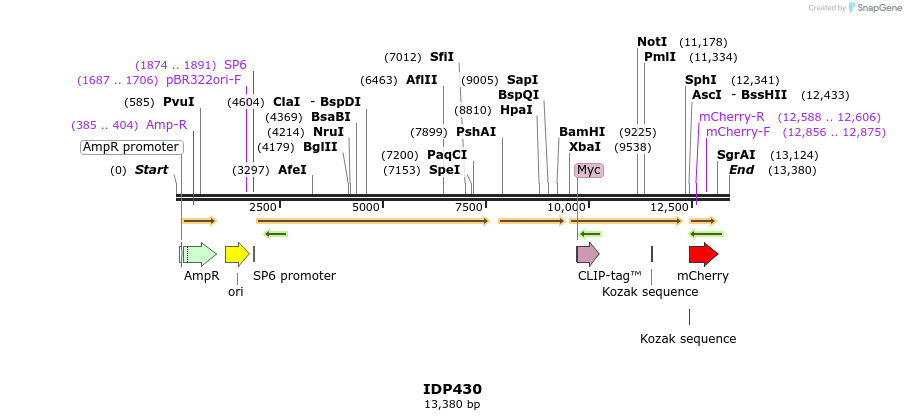 173022_map