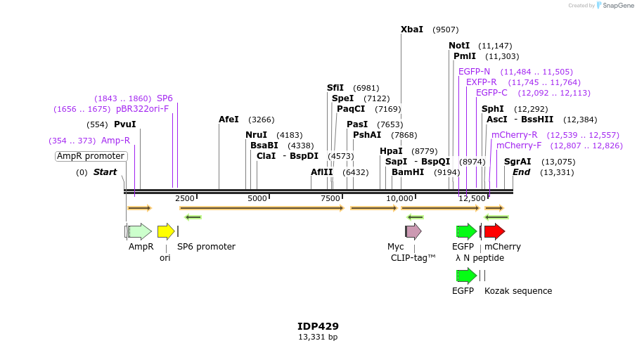 173023_map