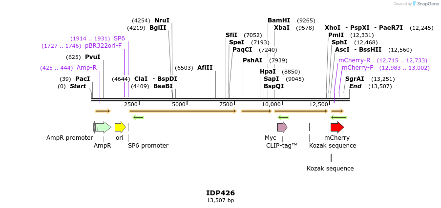 173024_map