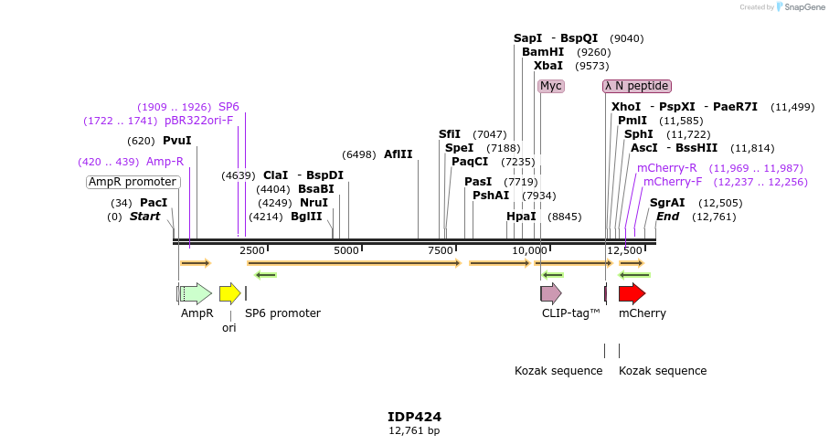 173025_map