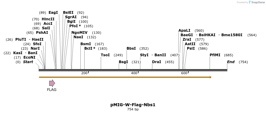173026_map