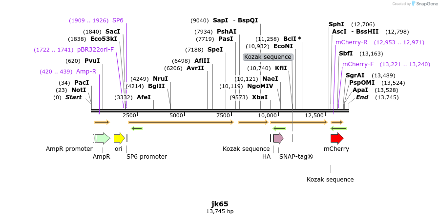 173027_map
