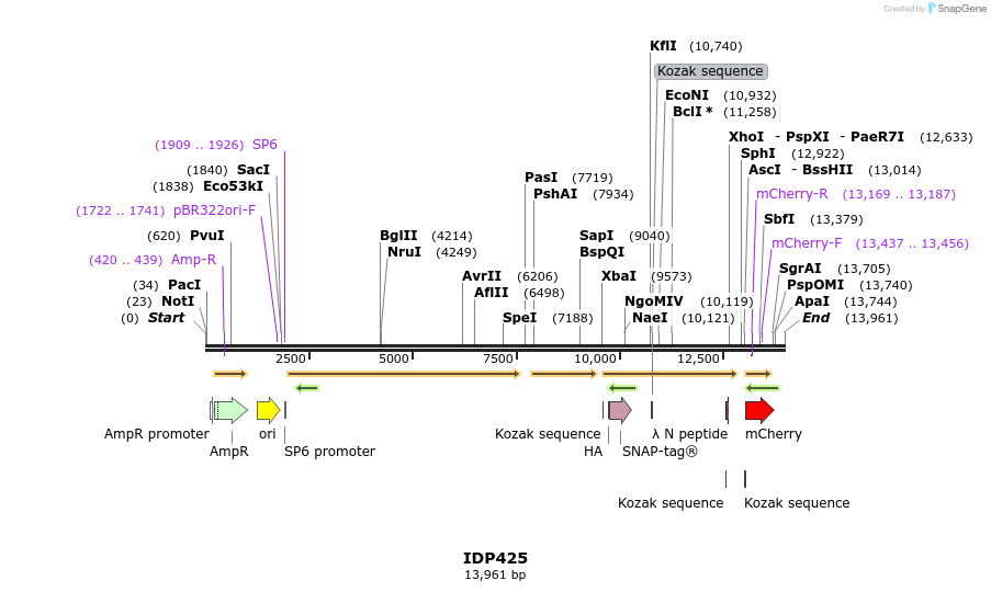 173029_map