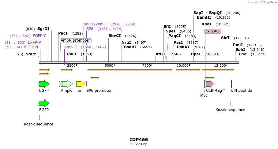 173034_map