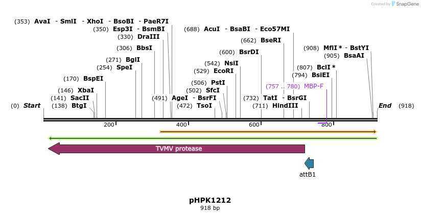 17304_map
