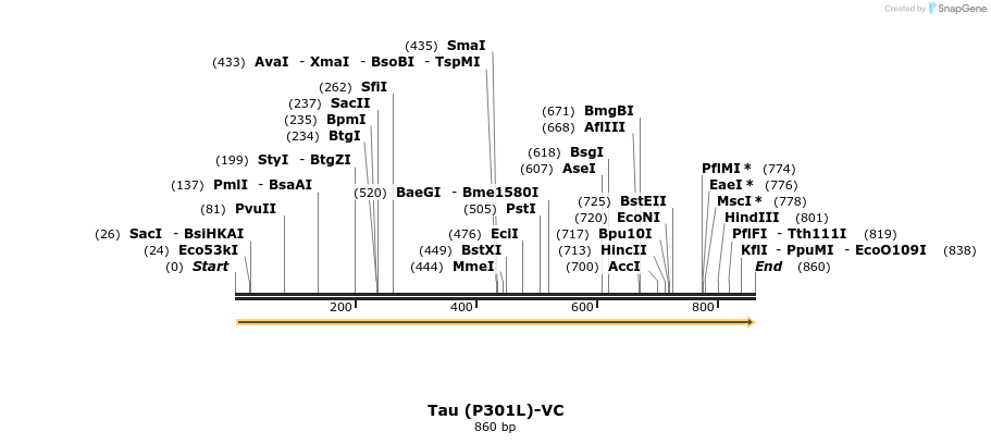 173067_map