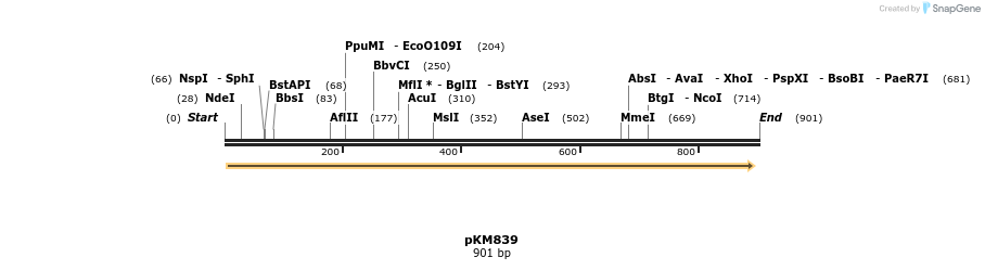 17307_map
