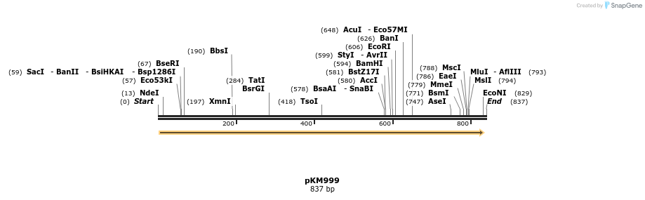 17308_map