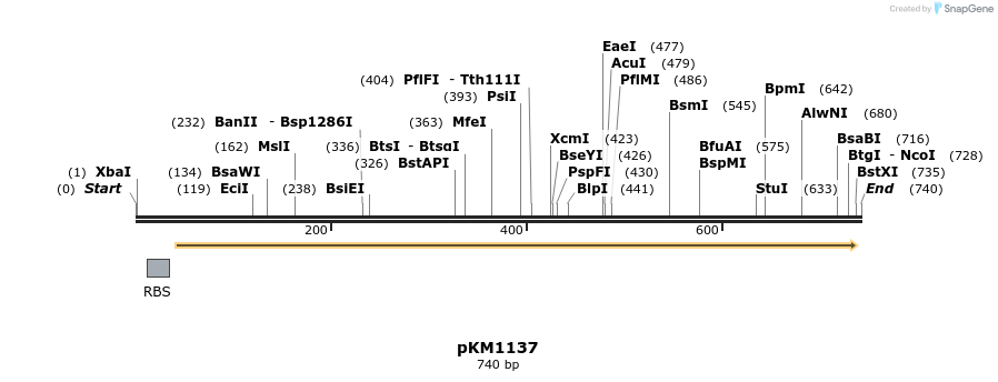 17310_map