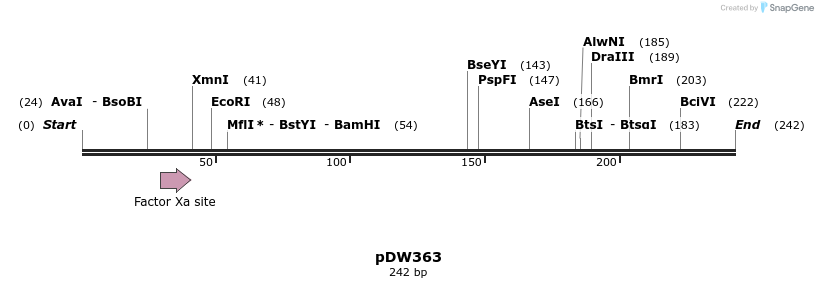 17311_map