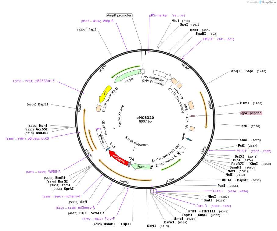 173122_map