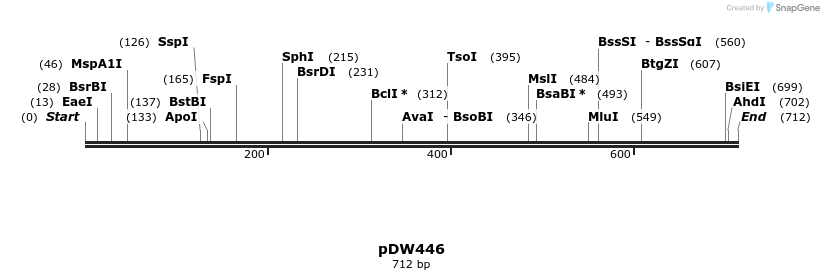 17313_map