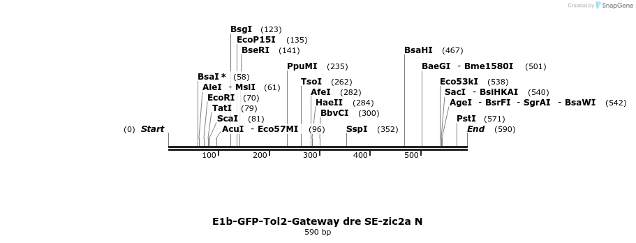 173149_map