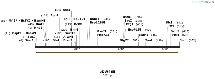 17316_map