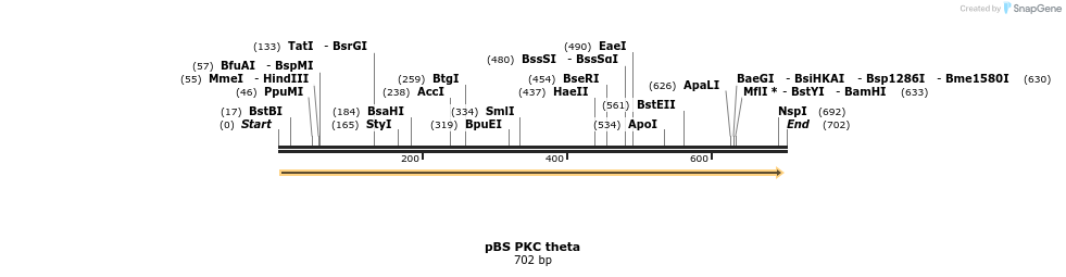 17318_map