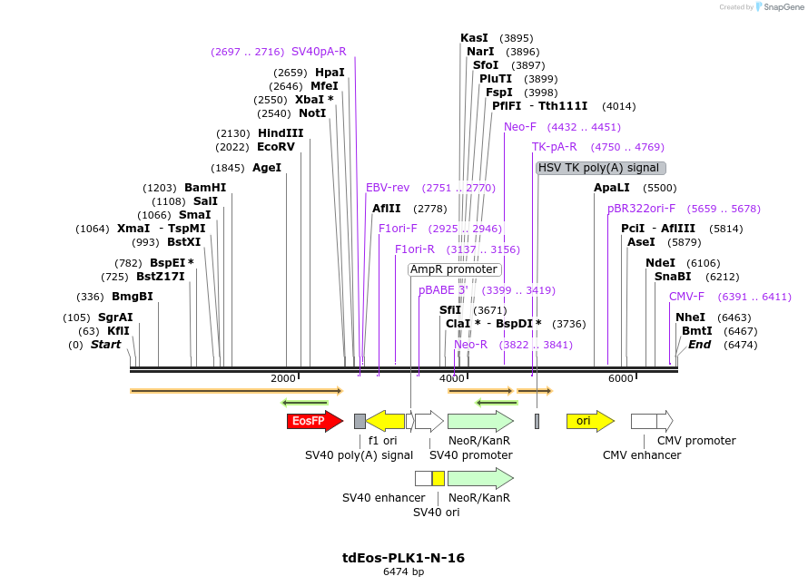 173194_map