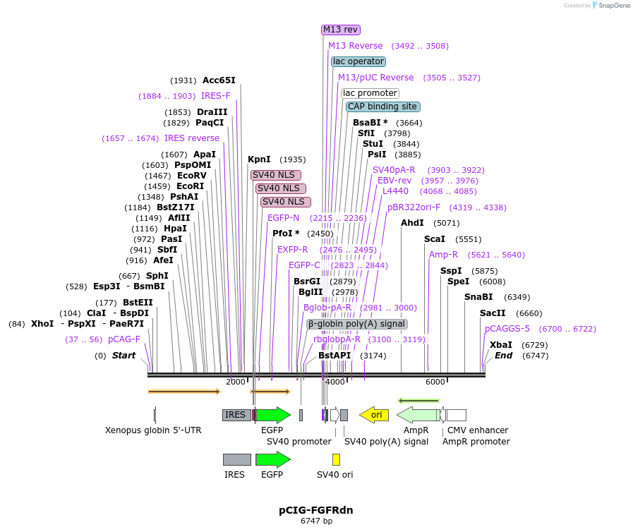 173254_map
