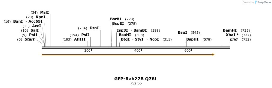 173281_map