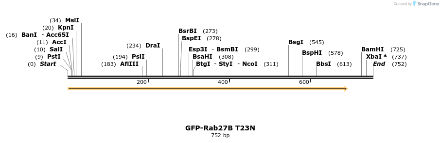 173283_map