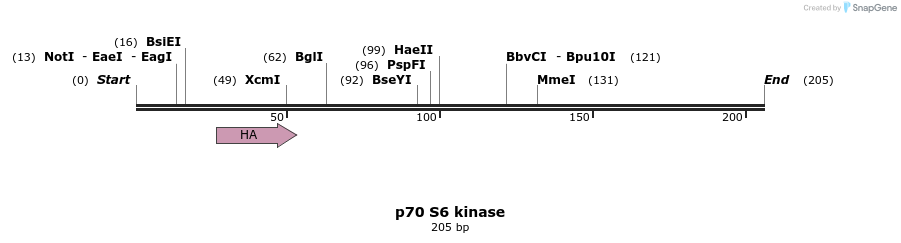 17330_map