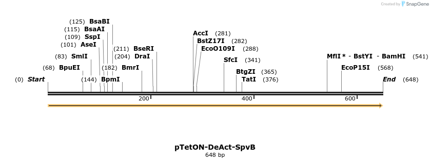 173302_map