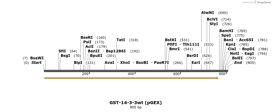 17333_map