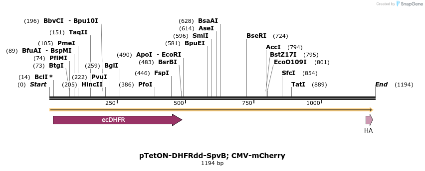 173339_map