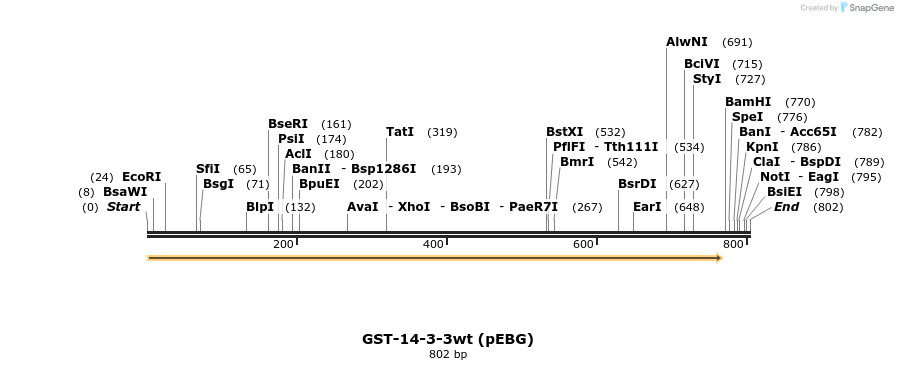 17334_map