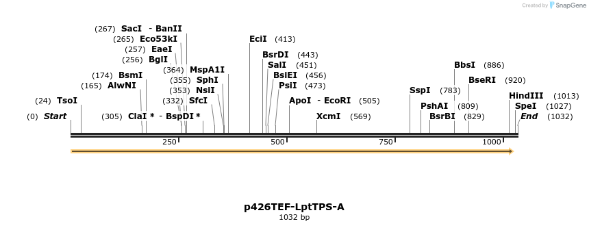 173353_map