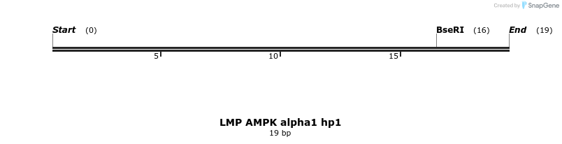 173385_map