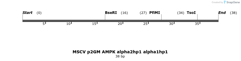 173386_map