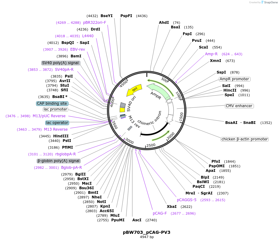 173396_map