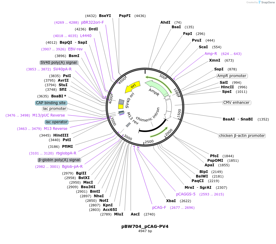 173397_map